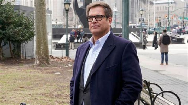 Was Michael Weatherly's Son Ever on NCIS? Exploring the Connection Between Family and Fiction
